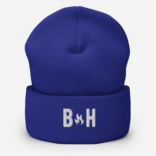 The Bird's Eye Trail Beanie | Signature Knit in Blue